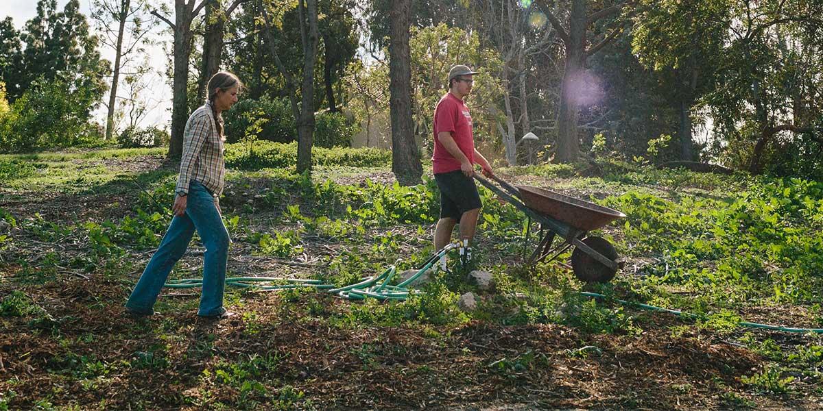 Volunteers working in the Heritage Garden